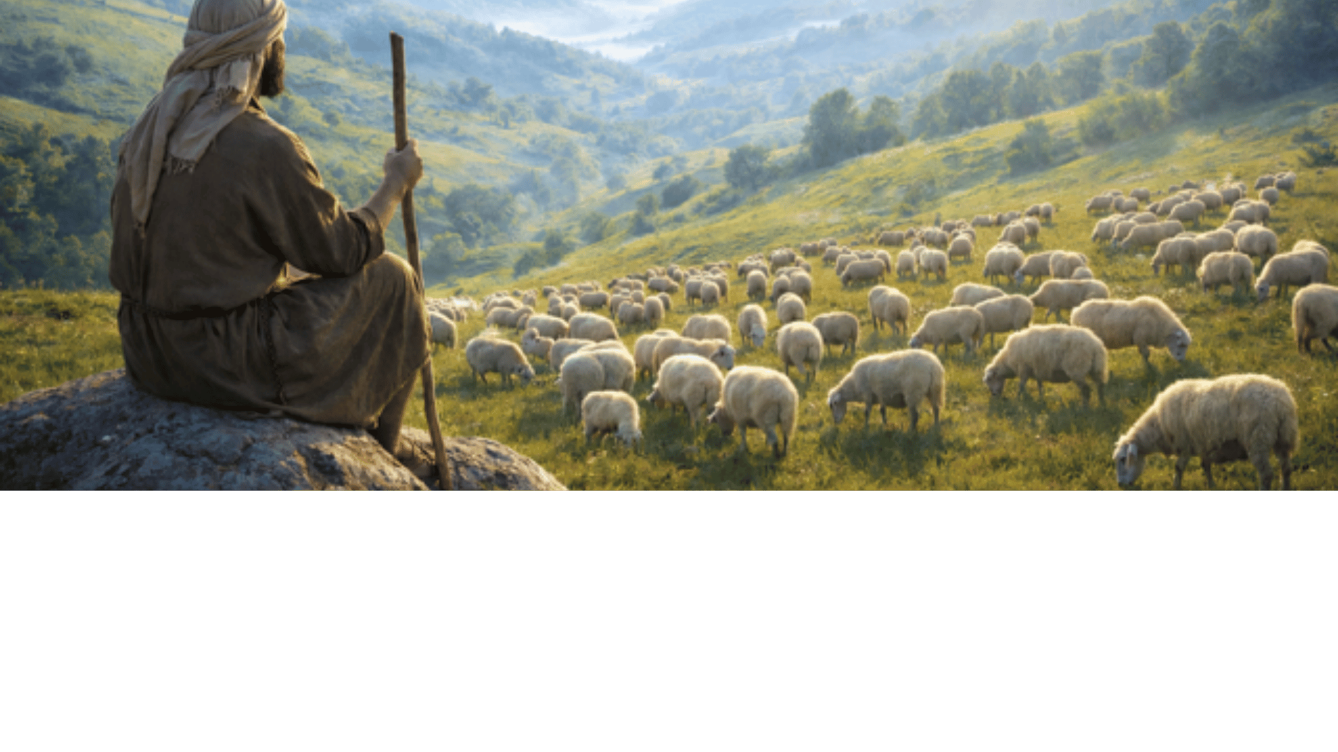 shepherd